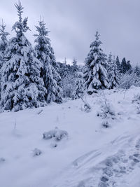 Scenic view of snow covered field against sky