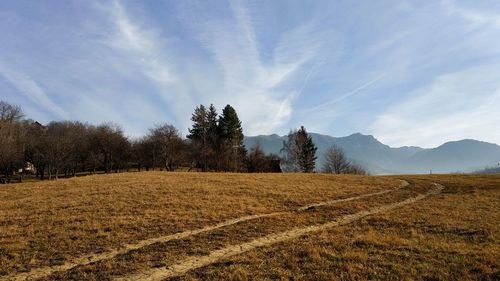 Scenic view of field against sky