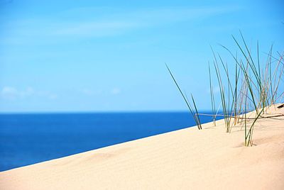 Close-up of beach against blue sky