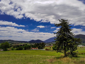 Scenic view of field against sky