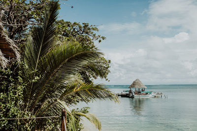 Palm tree by sea against sky