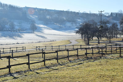 View of field in winter