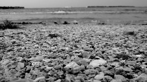 Surface level of pebbles on beach