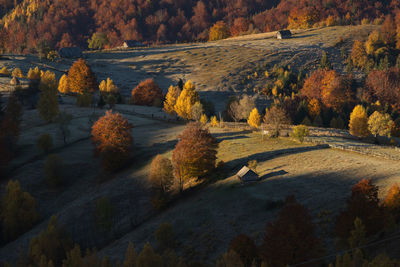 High angle view of trees on field during autumn