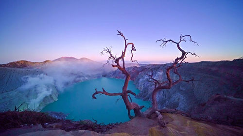 Bare tree on mountain against clear sky