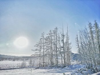 Scenic view of frozen landscape against sky