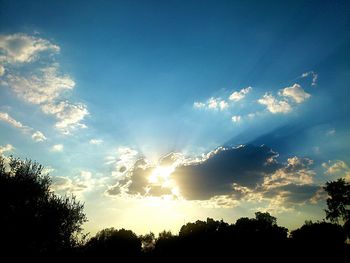 Low angle view of silhouette trees against cloudy sky