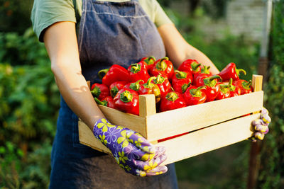 Midsection of woman holding strawberries