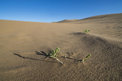 Scenic view of desert land against clear blue sky