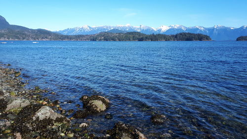 Scenic view of lake against blue sky