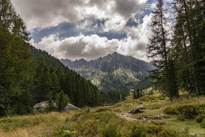 Panoramic view of trees and mountains against sky