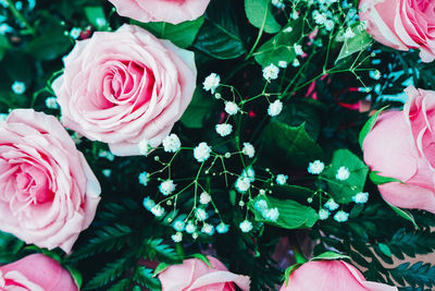 Close-up of rose bouquet