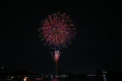 Low angle view of firework display at night