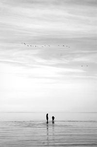 Silhouette people on beach against sky