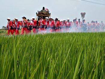 Men parading by agricultural field
