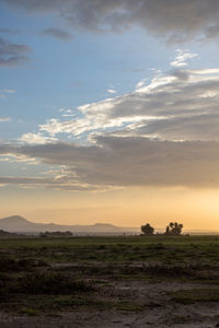 Scenic view of field against sky during sunset