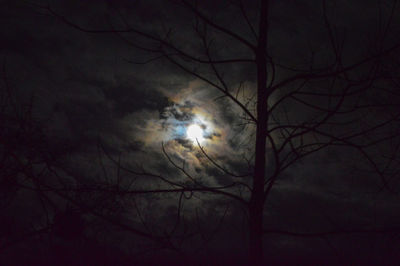 Low angle view of bare tree against moon at night