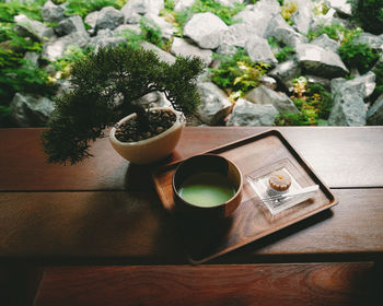 High angle view of tea cup and bonsai tree