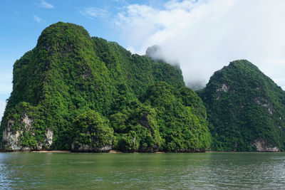 Scenic view of lake by trees against sky