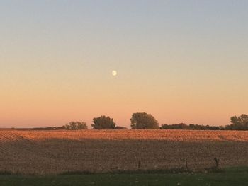 Scenic view of field against clear sky