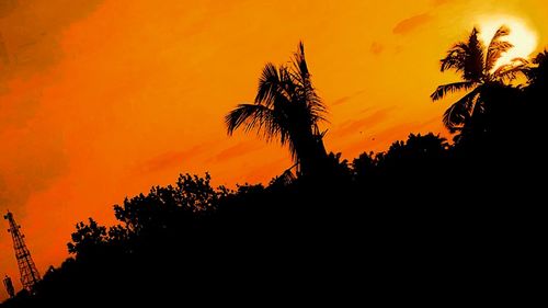 Silhouette trees against sky at sunset