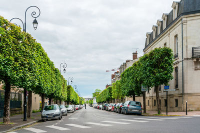 Road amidst trees and city against sky