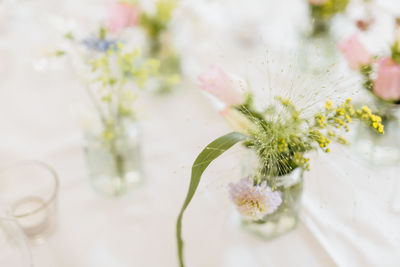 Close-up of white flower on table