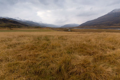 Scenic view of landscape against cloudy sky