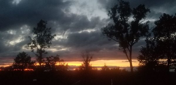 Scenic view of silhouette trees against sky during sunset