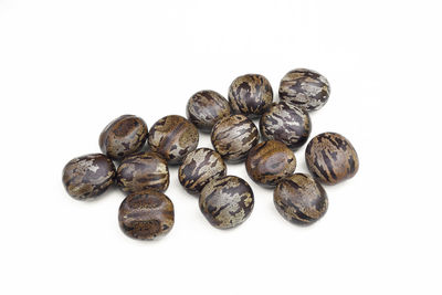 High angle view of eggs against white background