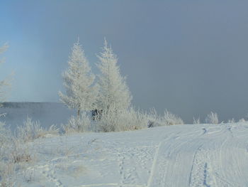 Snow covered field against sky