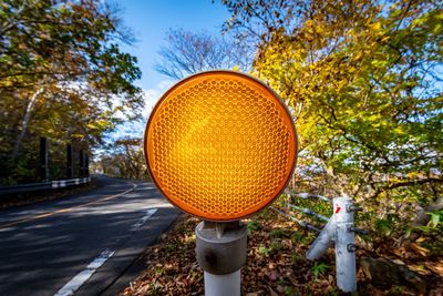 Close-up of orange car on road against trees