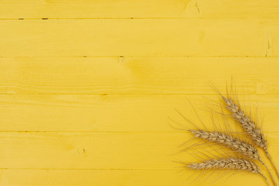 Full frame shot of yellow wall