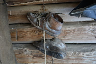 Close-up of dead fish on wood