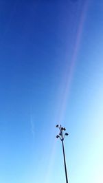 Low angle view of weather vane against clear blue sky