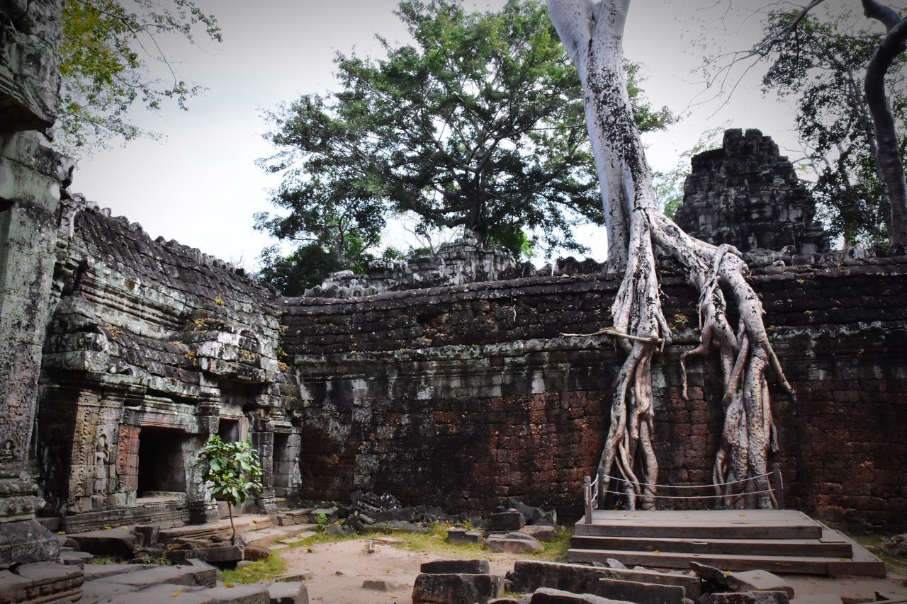 OLD RUINS AGAINST TREES