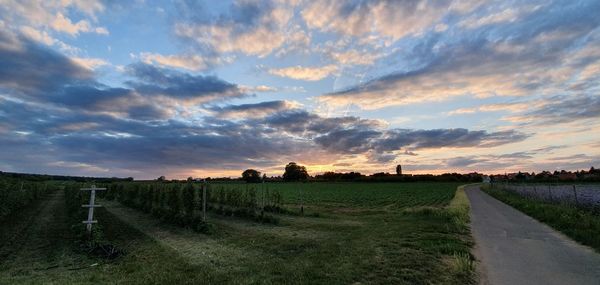 Scenic view of agricultural field against sky during sunset