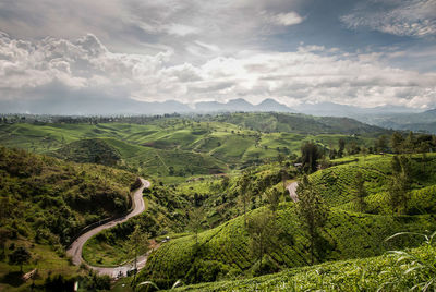 Scenic view of agricultural landscape against sky