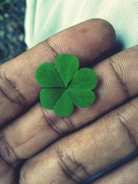 Close-up of hand holding leaf