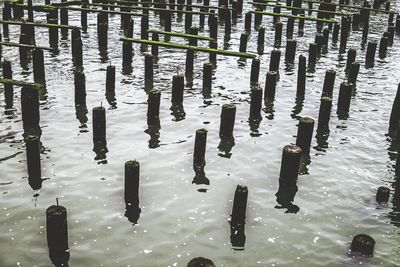 Full frame shot of water