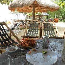 Close-up of tree stump