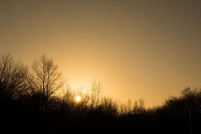 Silhouette trees against sky during sunset