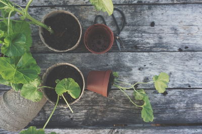 High angle view of potted plant on table