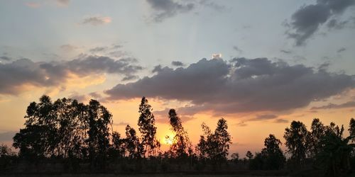 Silhouette trees against sky during sunset