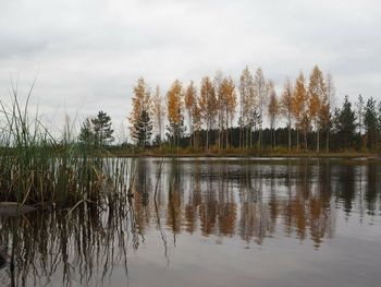 Reflection of trees in lake against sky