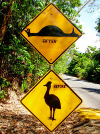 Close-up of road sign against trees