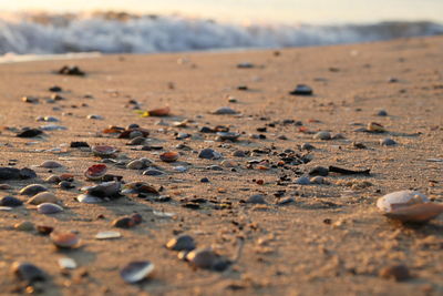 Surface level of pebbles on sand