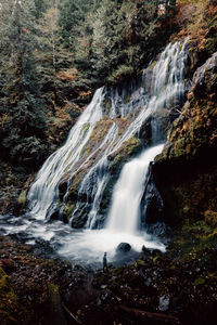 View of waterfall in forest with man