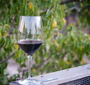 Close-up of wine glasses on table