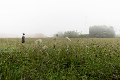 Side view of unrecognizable person in jacket with hood standing on footpath near grassy field and tall tree in misty weather person